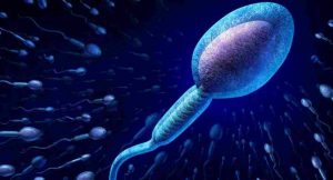 diseases-sperm-killers-THS-655x353