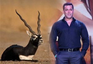 salman