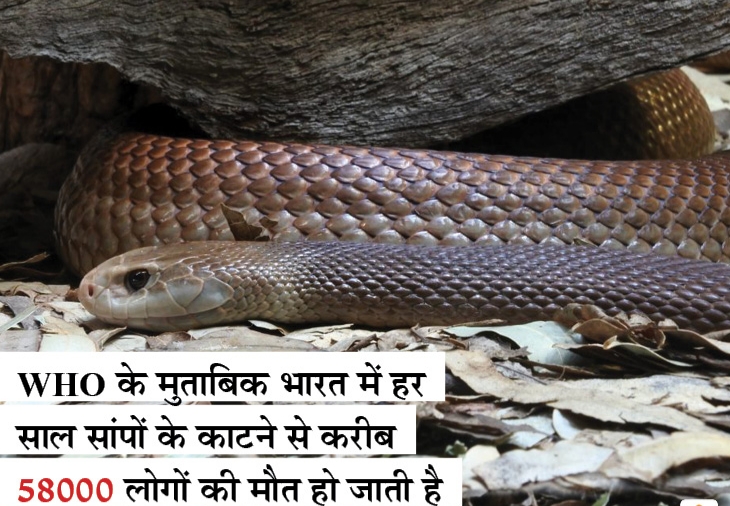 Naag Raj
